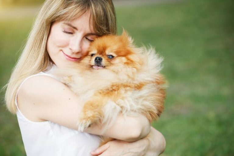 Are Pomeranians Affectionate? An In-Depth Look at the Cuddly Nature of Poms