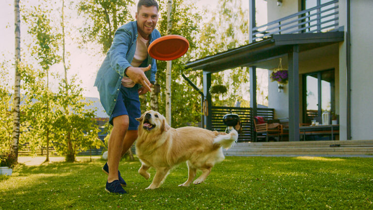 The Ultimate Guide to the Best Dog Breeds for Single Men