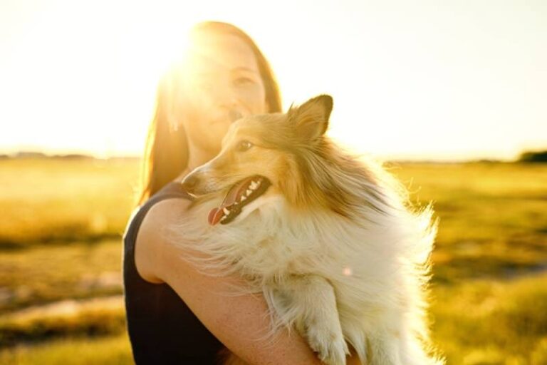 Do Shelties Like to Cuddle? An In-Depth Look at this Affectionate Breed