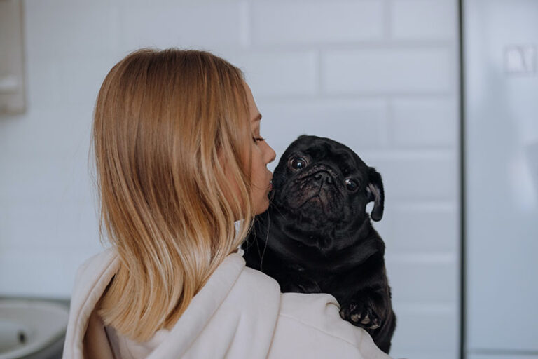 Is a Pug the Right Dog for You? An Honest Look at Pug Ownership