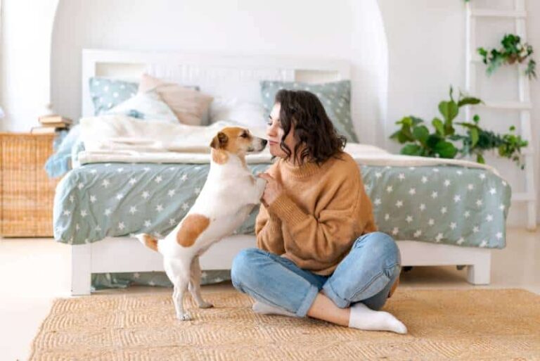 Jack Russell Terrier: The Mighty Dog in a Small Package