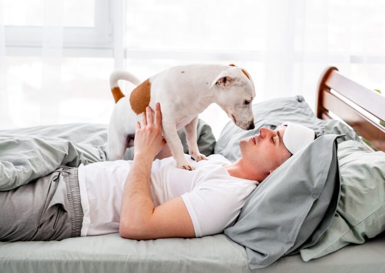 The 7 Most Affectionate Dog Breeds: Loyal Companions Full of Love