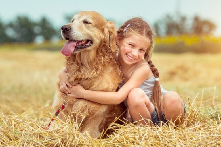 The Most People-Pleasing Dog Breeds: Furry Friends Who Live to Love You