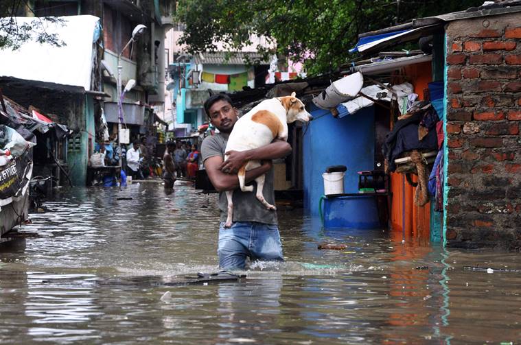Sentiment Analysis of Twitter Communications During the 2015 Chennai Floods