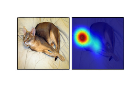 Essentials of Deep Learning: Visualizing Convolutional Neural Networks