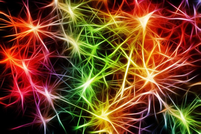 The Next Evolution of Neural Networks: A Deep Dive into Capsule Networks