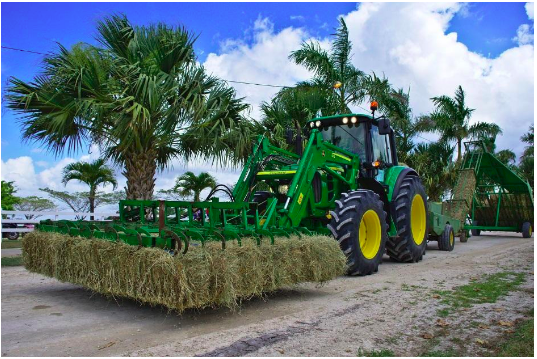 The AI Revolution in Indian Agriculture: How Machine Learning is Transforming the Farm