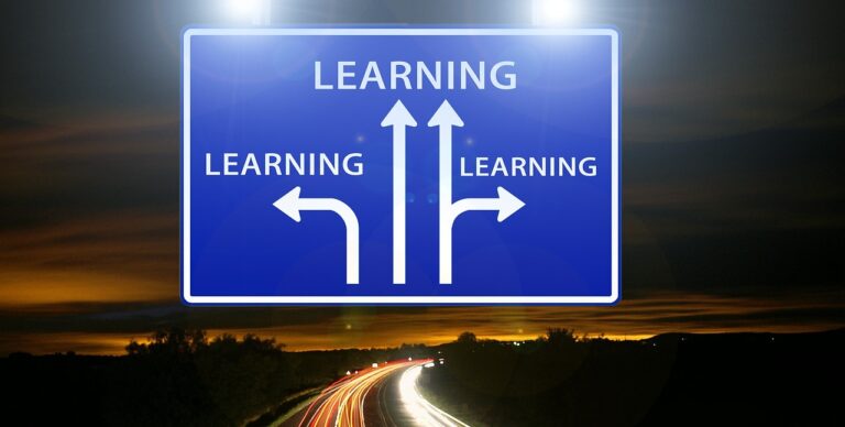 My Story: How I Became a Machine Learning Expert in 10 Months