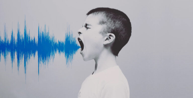 A Comprehensive Guide to Building Your Own Speech-to-Text Model in Python