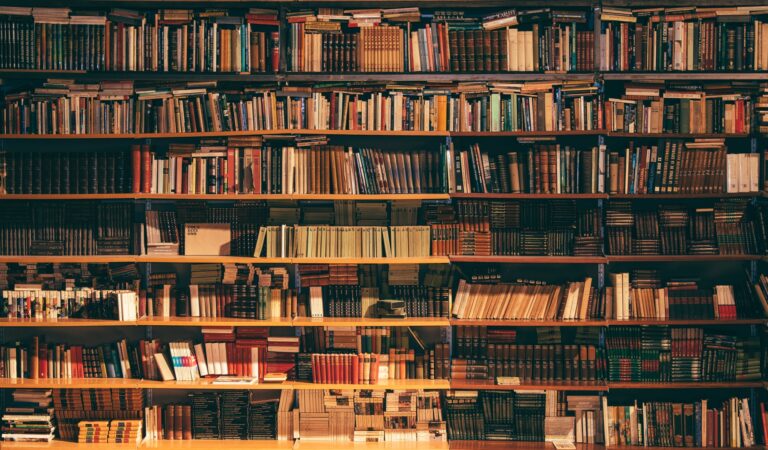 Accelerating Machine Learning with Julia: A Deep Dive into the Top Libraries