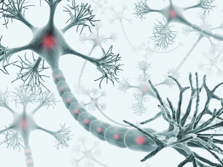 Artificial Neural Networks: A Deep Dive into How They Work