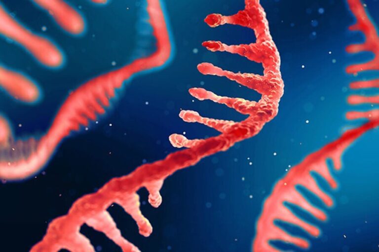 Predicting mRNA Degradation with Deep Learning