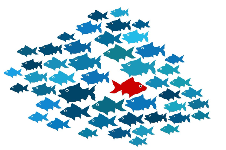Learning Different Techniques of Anomaly Detection