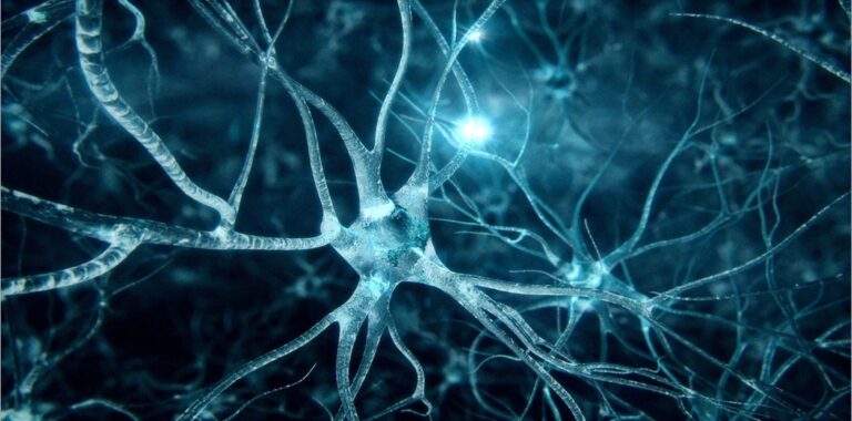 Artificial Neural Networks: A Comprehensive Guide to Implementation from Scratch