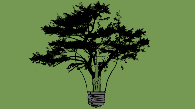 End-to-End Potato Leaf Disease Prediction: A Step-by-Step Deep Learning Project Guide