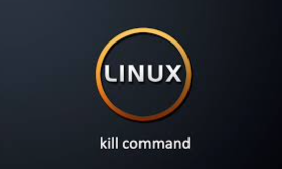 Kill Processes in Linux: Understanding the Kill Command