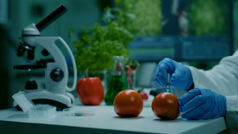 Building a Robust Food Quality Detector with Deep Learning