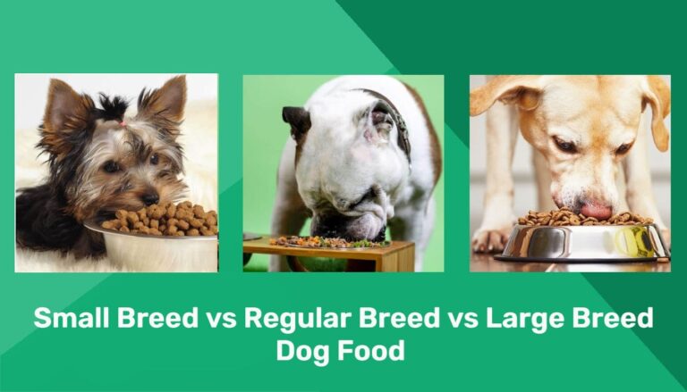 Finding the Perfect Fit: A Dog Lover&lsquo;s Guide to Picking the Right Food