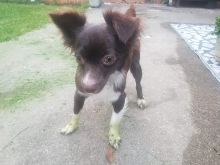 Penny&lsquo;s Grinch Feet: The Time Her Toe Floof Actually Turned Green