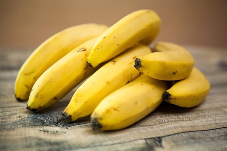 Are Bananas Good for Dogs With Pancreatitis? An In-Depth Vet&lsquo;s Guide