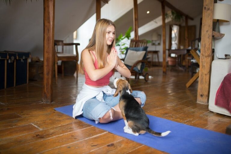 5 Benefits of Dog Yoga For Pets & Their Humans