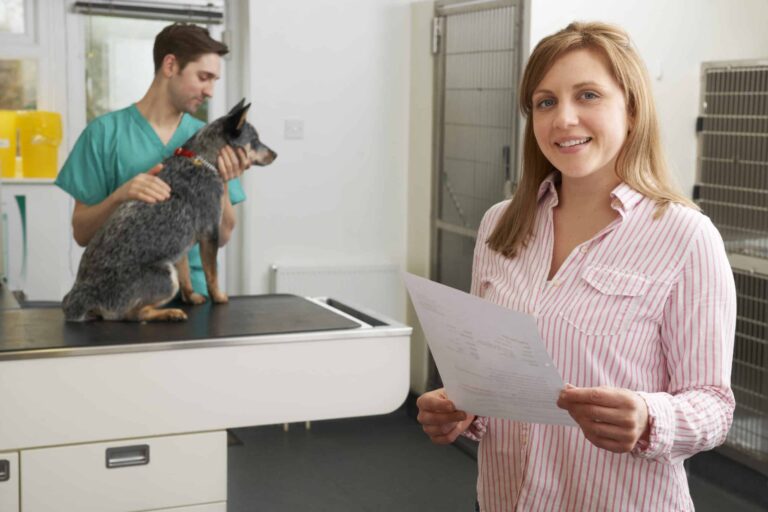The Dog Lover&lsquo;s Guide to Choosing the Best Pet Insurance in 2026