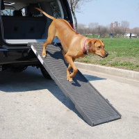 The Ultimate Guide to Dog Ramps for Senior Canines