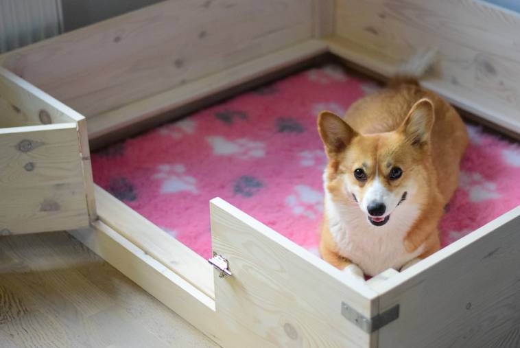 8 Best Dog Whelping Boxes – 2026 Reviews & Top Picks