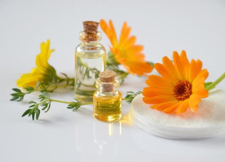 Calendula for Canines: Is This Miracle Herb Safe for Your Dog?