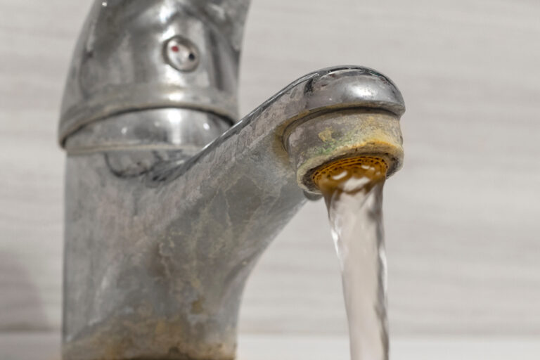 Can Dogs Drink Hard Water? A Comprehensive Guide
