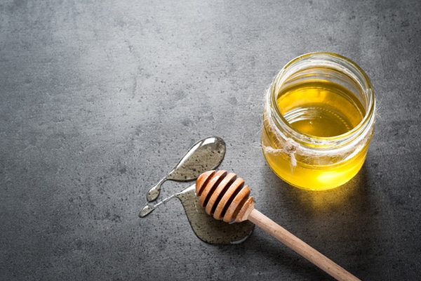 Can Dogs Eat Honey? A Vet&lsquo;s Perspective on Nature&lsquo;s Golden Elixir
