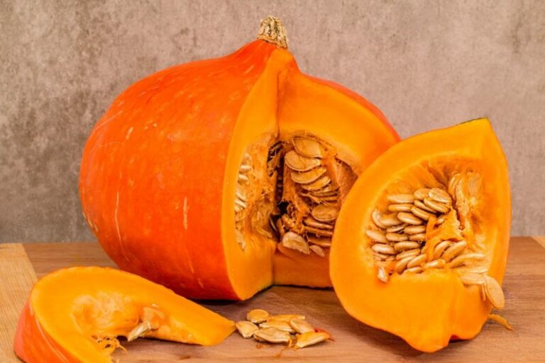 A Dog Lover&lsquo;s Guide to Pumpkin for Canine Indigestion