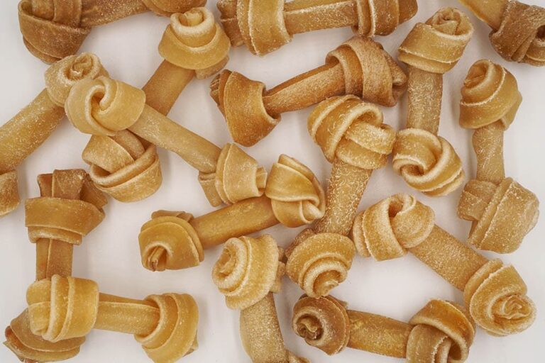 Can Puppies Have Rawhide? A Science-Backed Guide from a Vet and Dog Lover