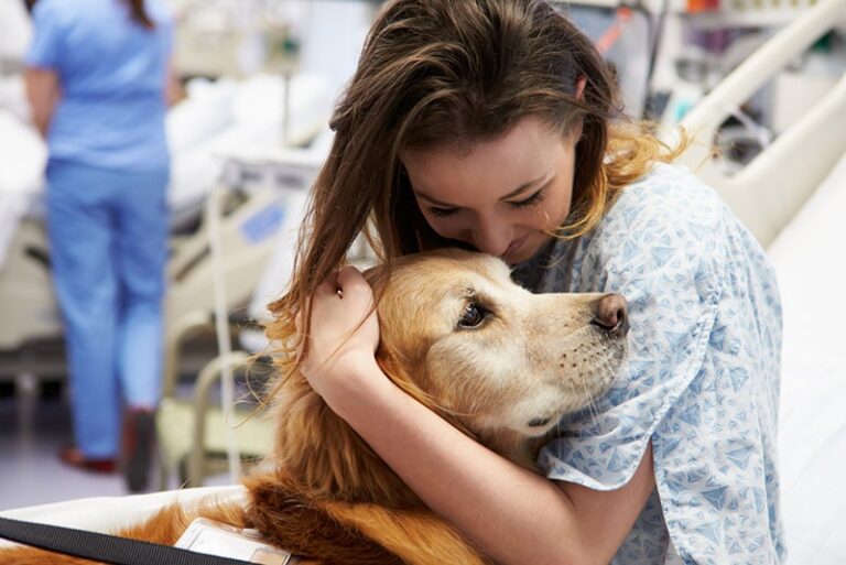 Can Therapy Dogs Go Anywhere? What Every Dog Lover Should Know