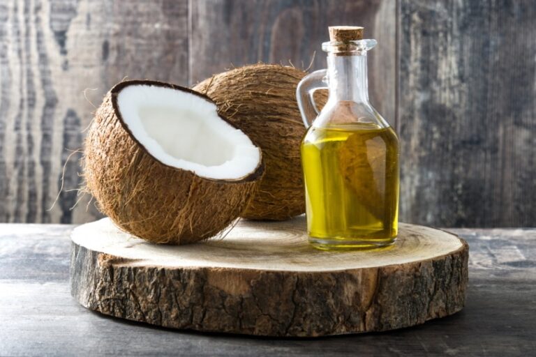 Can You Put Coconut Oil on a Dog&lsquo;s Paws? A Vet&lsquo;s Perspective
