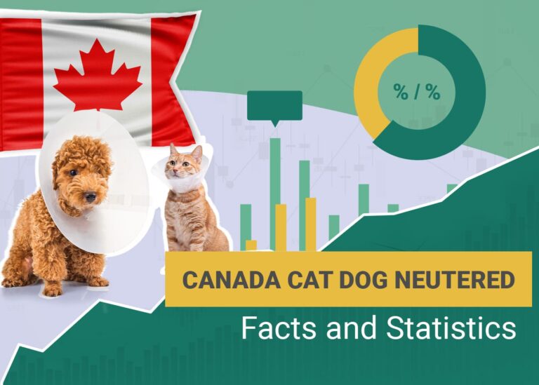 The Importance of Spaying and Neutering: Cat and Dog Neutering Statistics in Canada for 2025