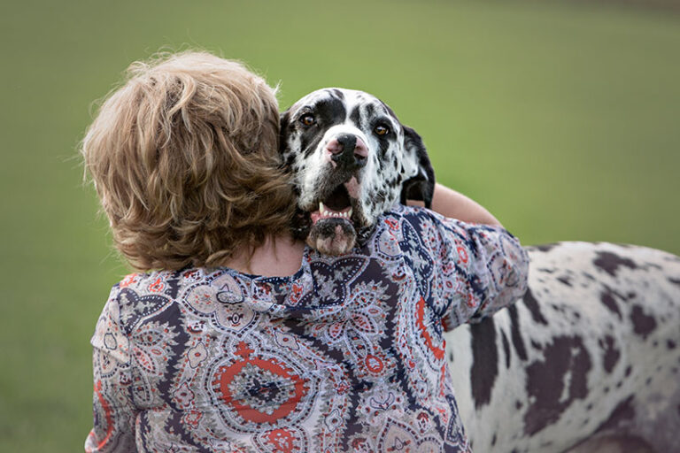 Why Does My Great Dane Always Bury His Head Into Me? A Dog Lover&lsquo;s Perspective