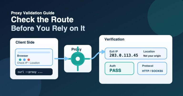 Browser and terminal traffic routed through a proxy to a different exit IP.