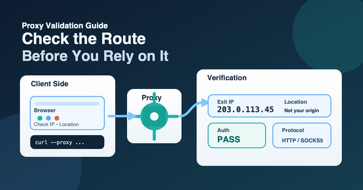 Browser and terminal traffic routed through a proxy to a different exit IP.